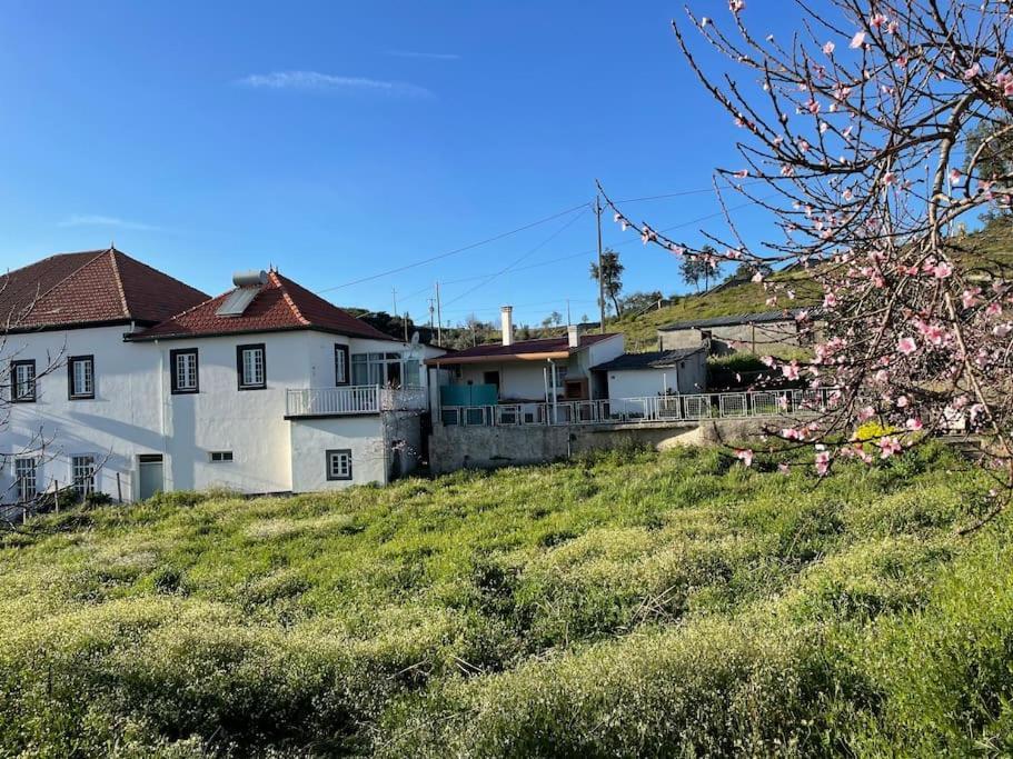 Casa Da Celeste Maljoga de Proenca Экстерьер фото